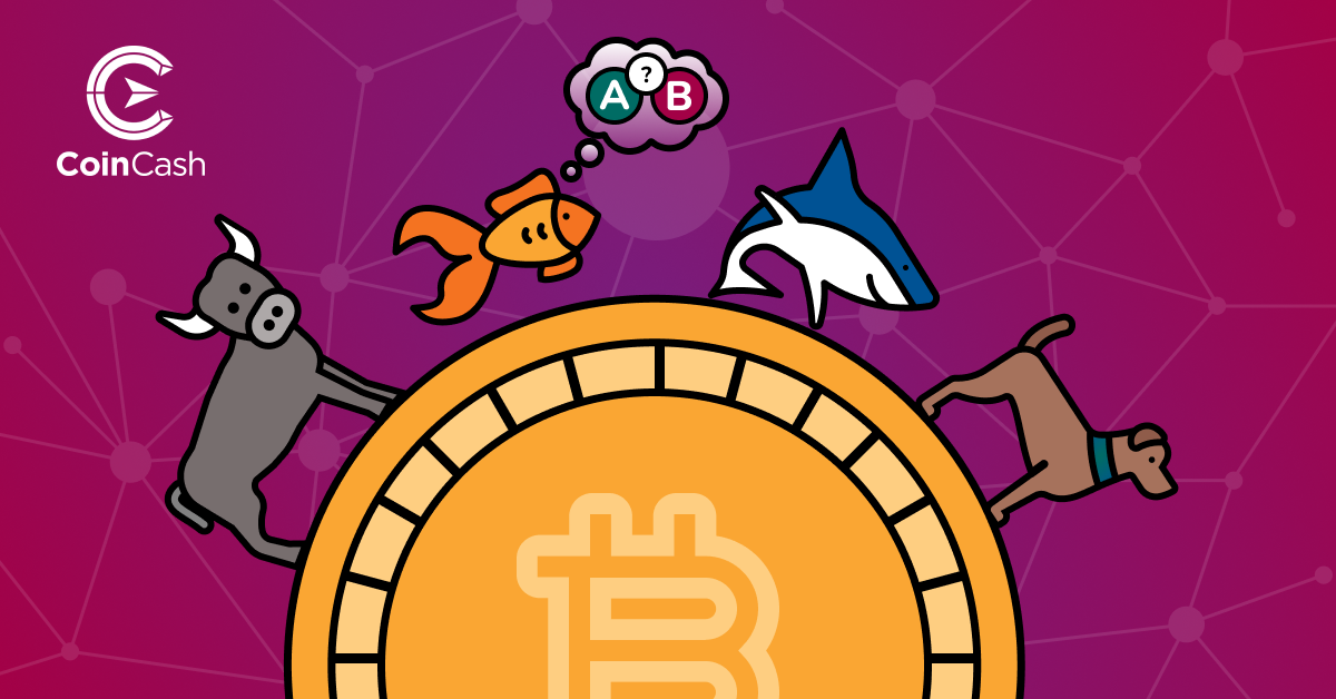 Egy bika, egy aranyhal ami épp döntést hoz, egy cápa és egy kutya sorakoznak egy BTC érme körül