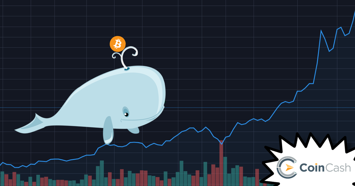 bitcoin whales chart