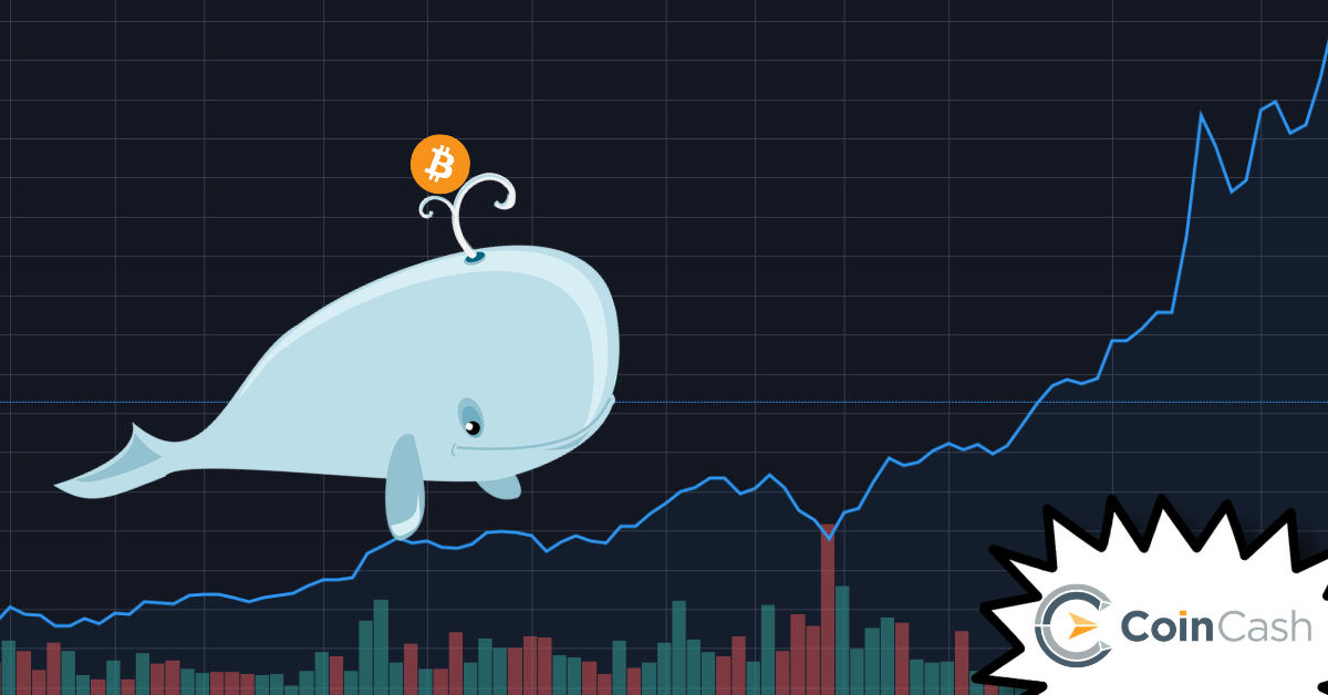 how many bitcoin whales are there